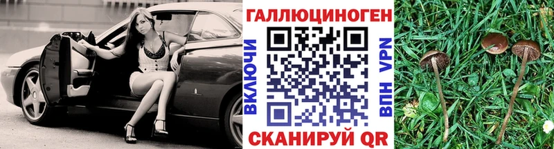 Псилоцибиновые грибы MAGIC MUSHROOMS  Купить закладки  Озёрск 
